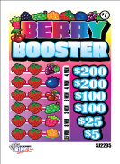 Berry Booster